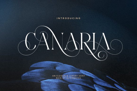 Canaria: A Stylish Serif Font for Digital Marketing