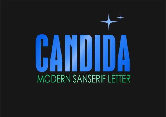 Candida: A Bold Sans Serif for Web Design