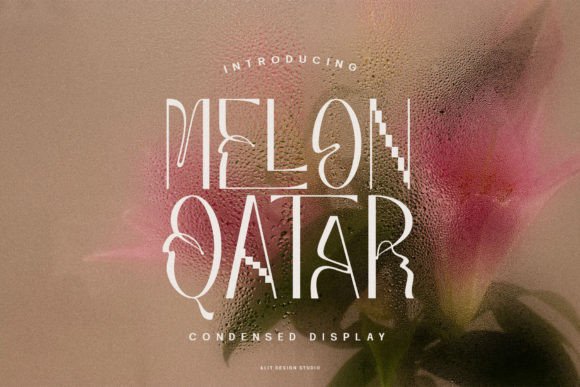 Melon Qatar: A Modern Sans Serif for Elegant Design