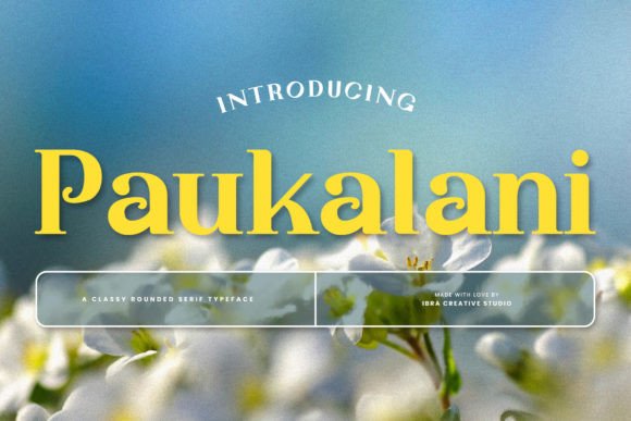 Paukalani: Elegant Serif Font for Craft Projects