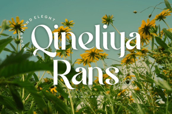 Qineliya Rans: A Stylish Serif Font