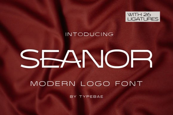 Seanor: A Modern Font for Business Success