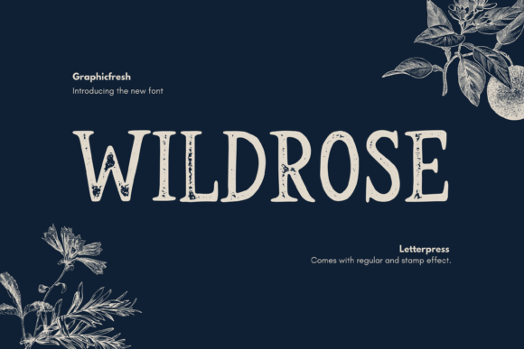 Wildrose Font Review